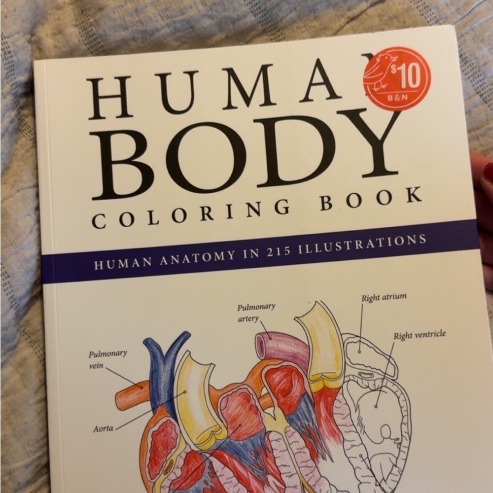 Barnes & Noble Human Body Coloring Book - Black, White, Red, Blue
